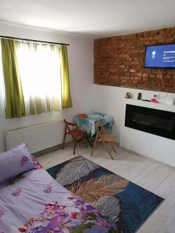 6 Ecaterina Varga st. Apartment
