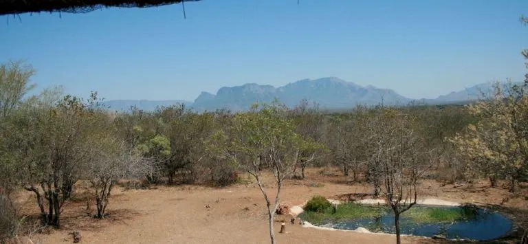 Thulani