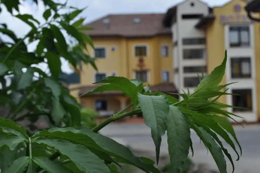 Hotel Duca Di Calabria
