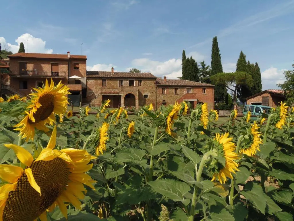 Podere La Capacciola