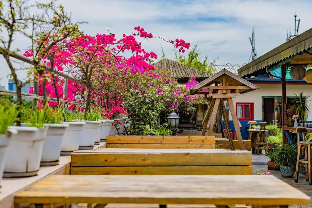 Terra Art Zen Hotel with Rooftop Zen Garden, Veggie Dining,Pick-up service,English speaking,Free Laundry