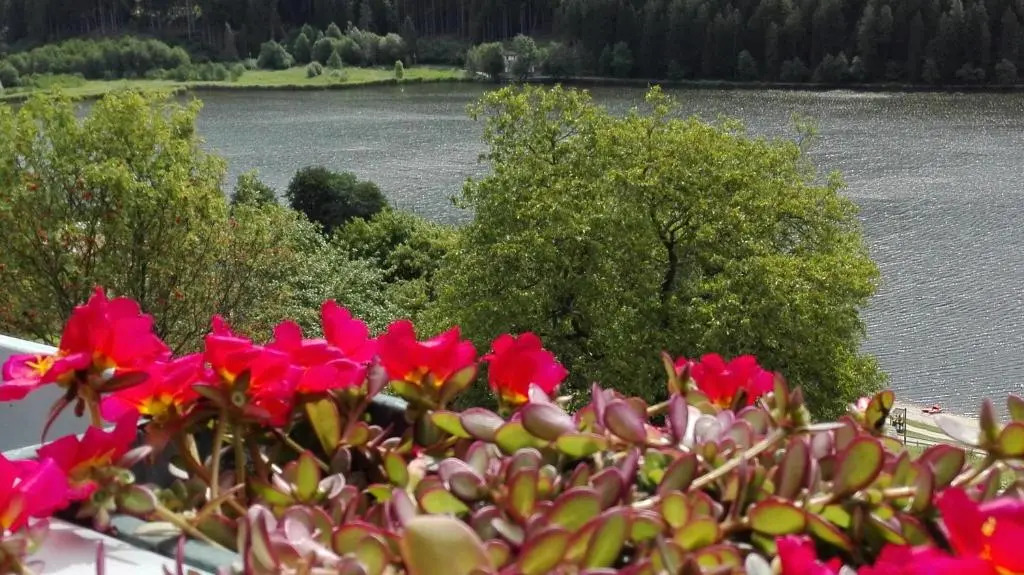Appartamento Dossalt Vista Lago