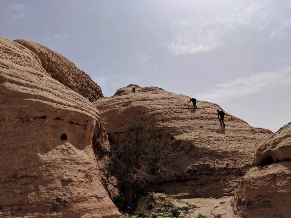 Bedouins Desert camp