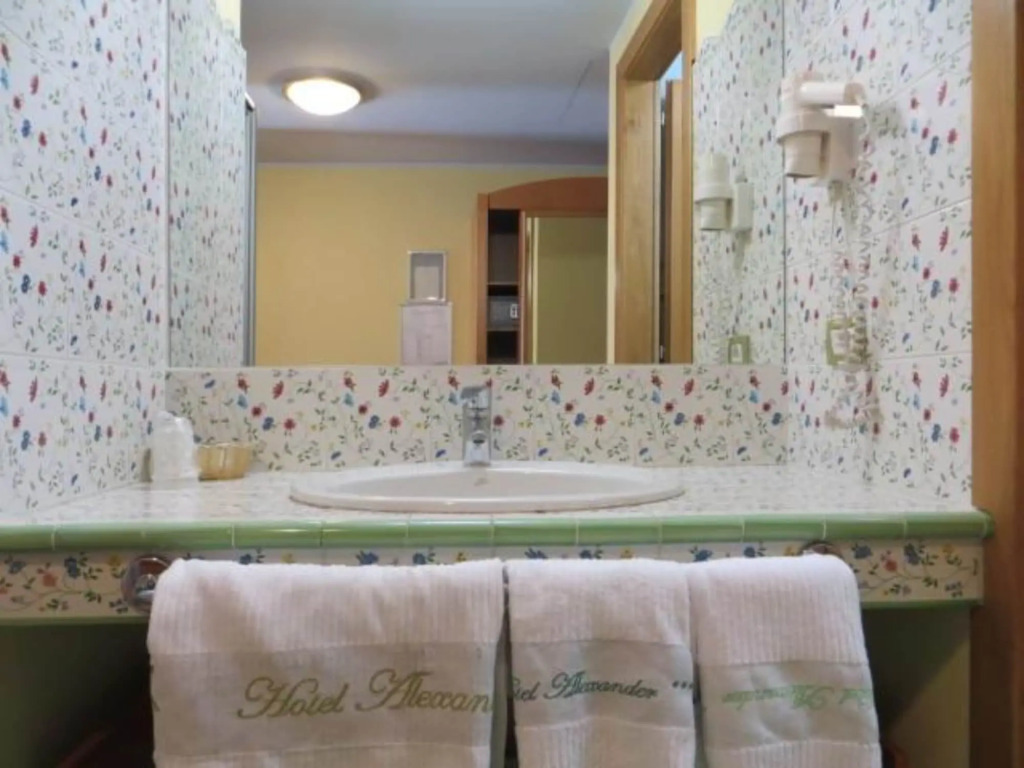 Hotel Alexander