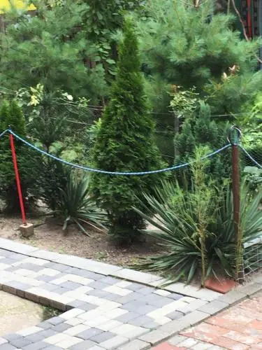 Apartament Opera
