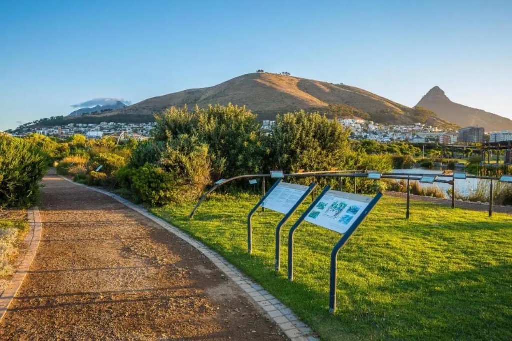 Luxury Villa in V&A Waterfront