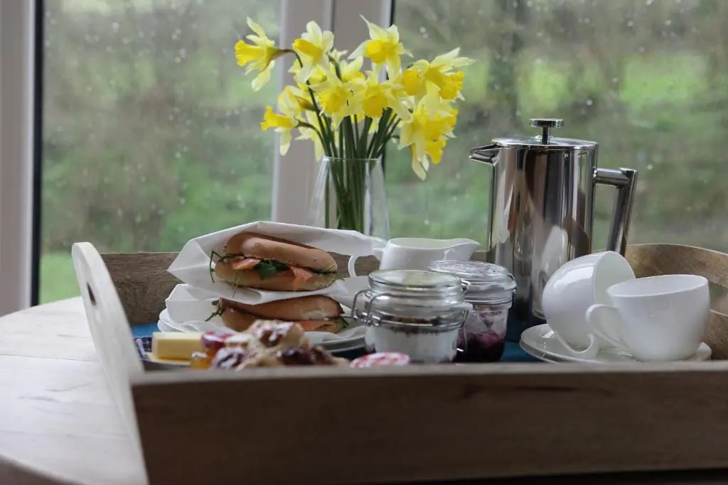 Cwmbach Lodge luxury B&B