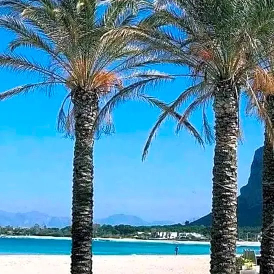 AFFITTACAMERE A TRE MINUTI IN SPIAGGIA Il Veliero