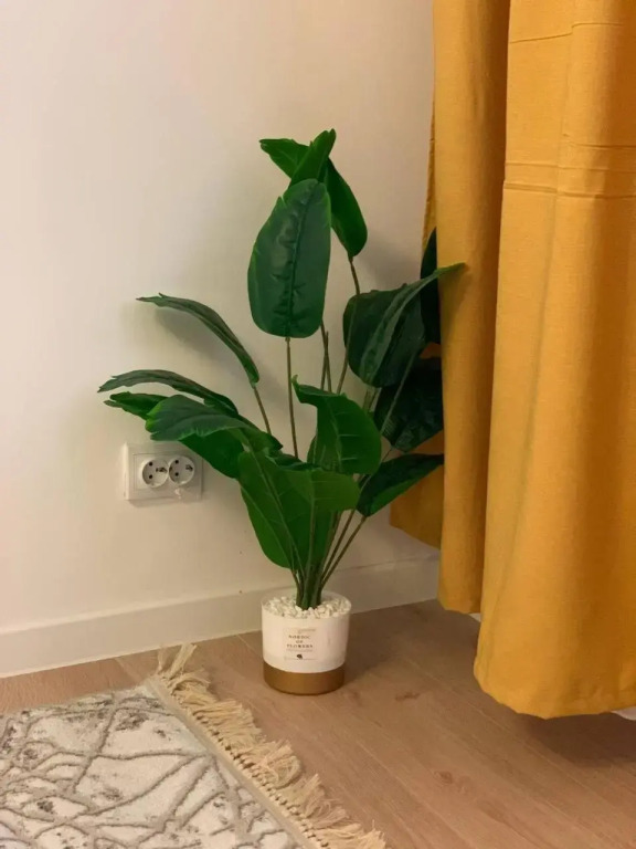 Scandi Home