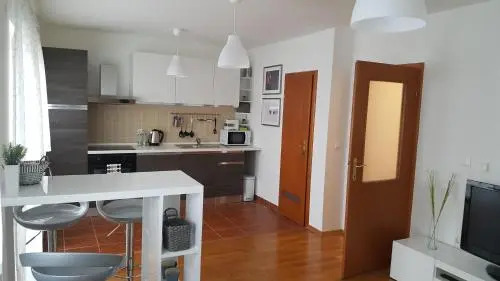 Apartment Roko