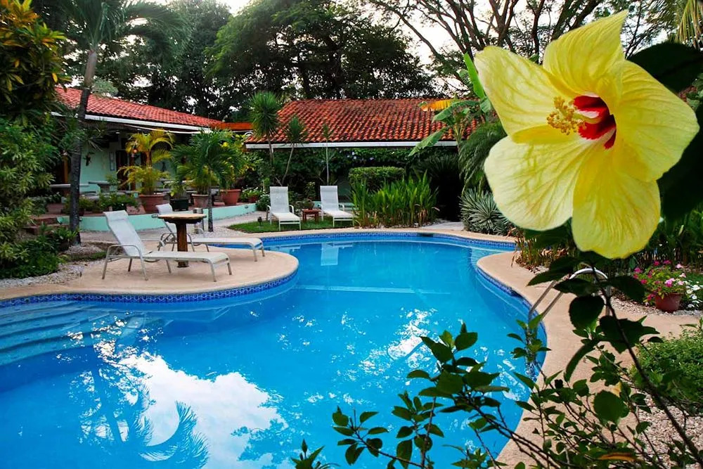 The Grateful Hotel