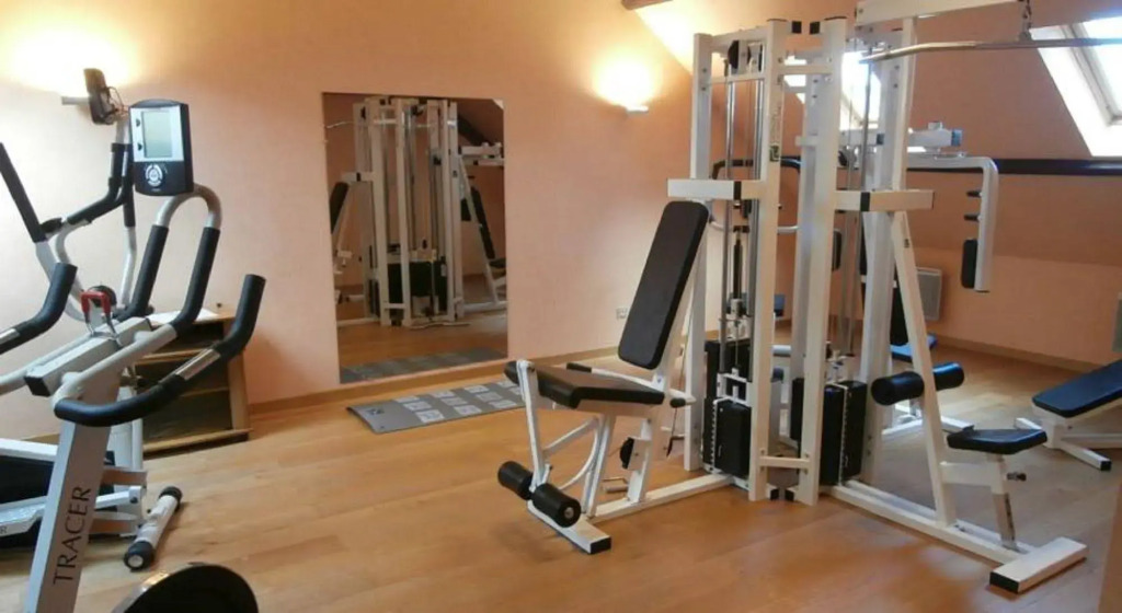 Отель LOGIS Hôtel Borel