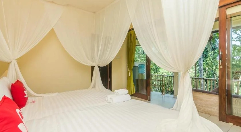 guest house lasan mas