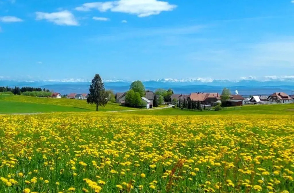 Pension Linde