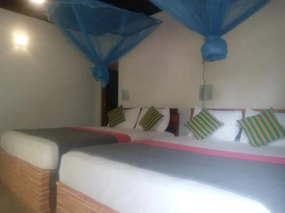 Yoho Summer Villa