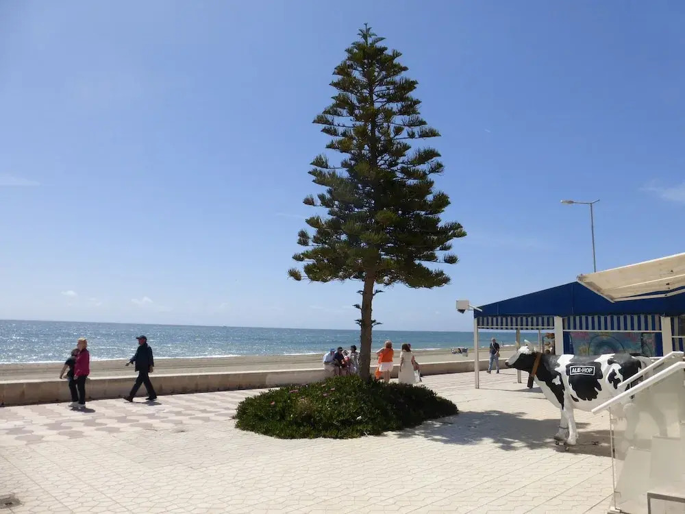 1 Bedroom Penthouse On Front Line Of The Beach