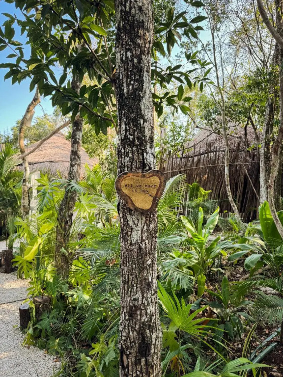 The Yellow Nest Tulum