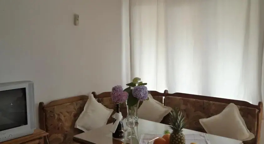 Apartment Babić