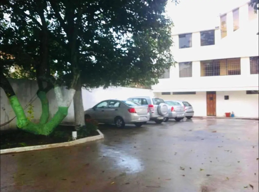 Jora Continental