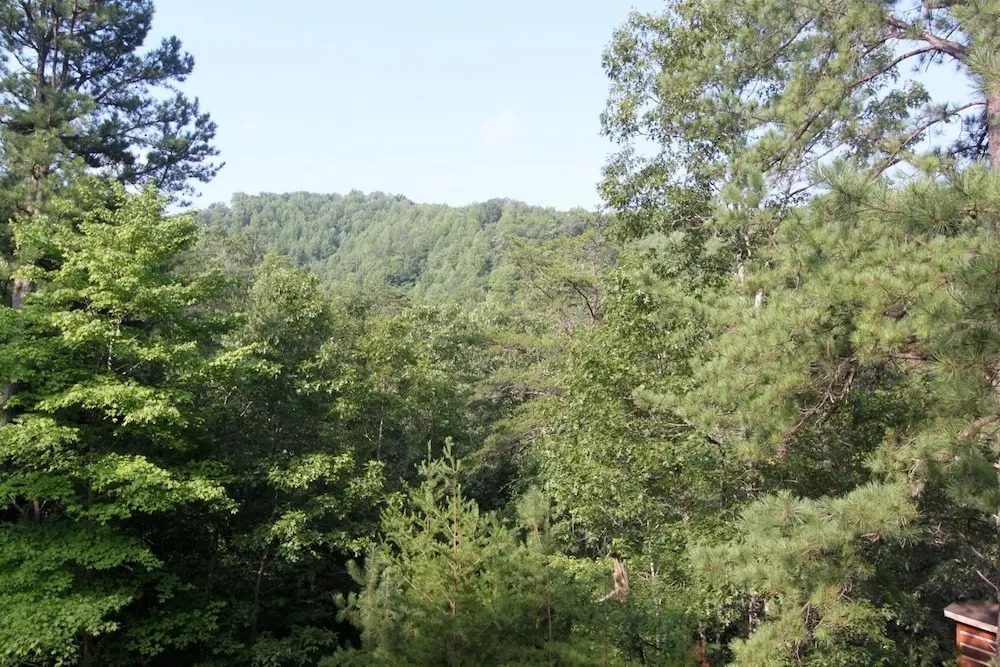 Woodhaven 1741 - Two Bedroom Cabin