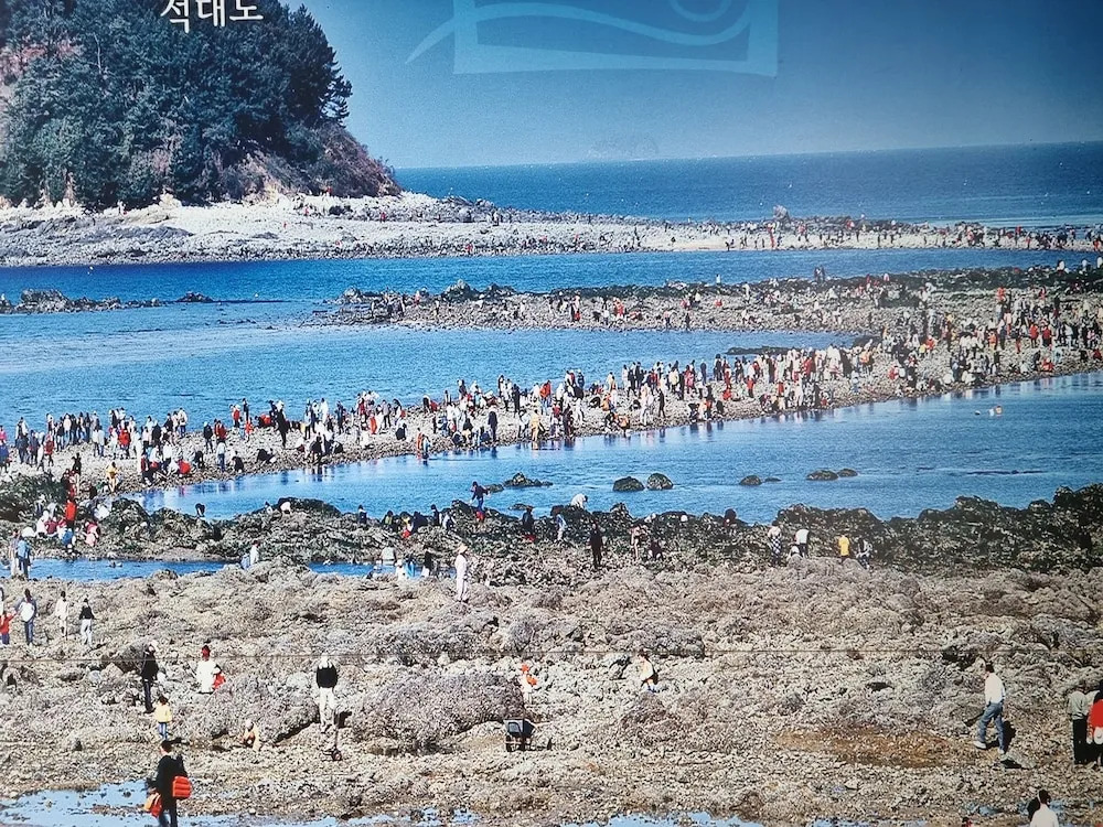 Anmyeondo In You Pension