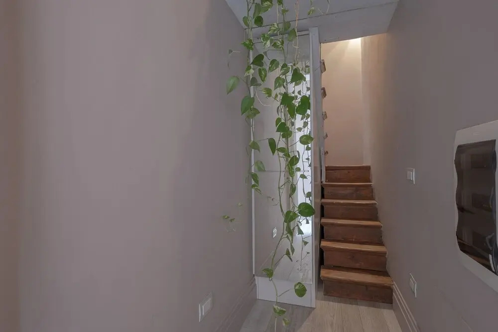 ApartmentsFlorence-Florentine Penthouse
