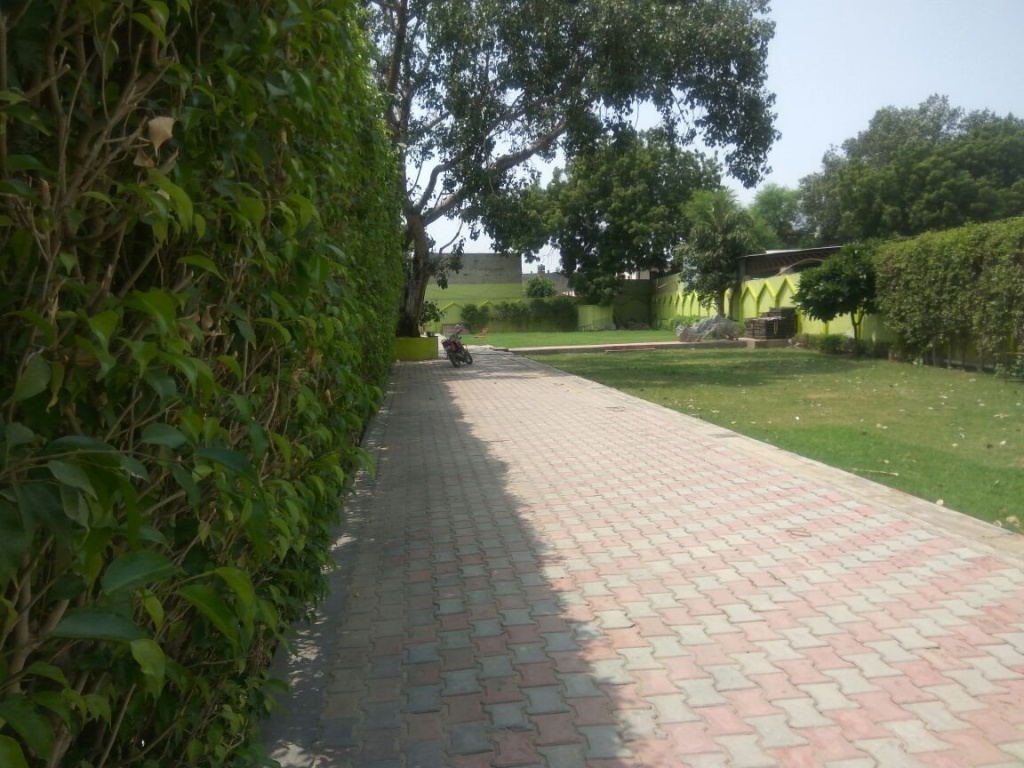Mayur Resort