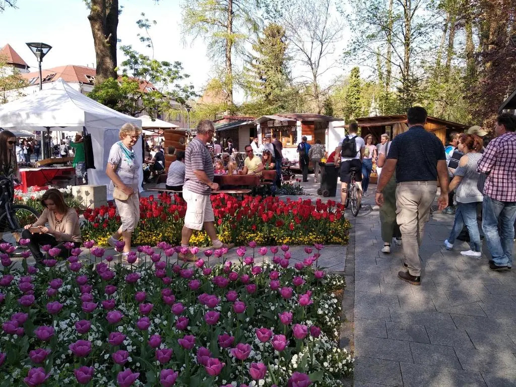 Apartman Vera