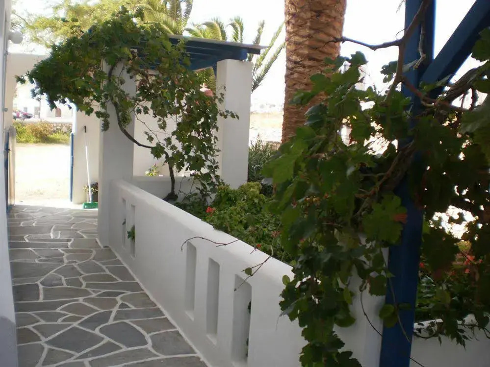 Oasis