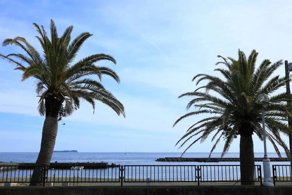 SAKURA house Yukawa -屋根付きBBQ-