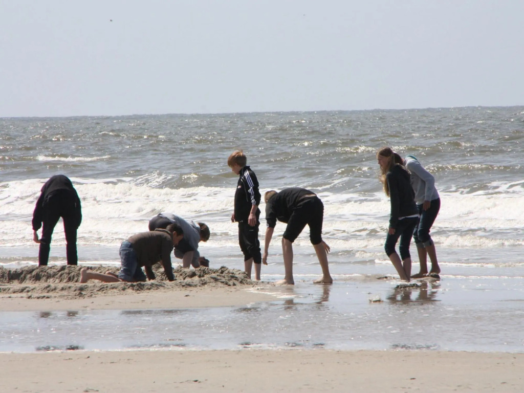 Ferienhaus mit Sauna in St Peter-Ording