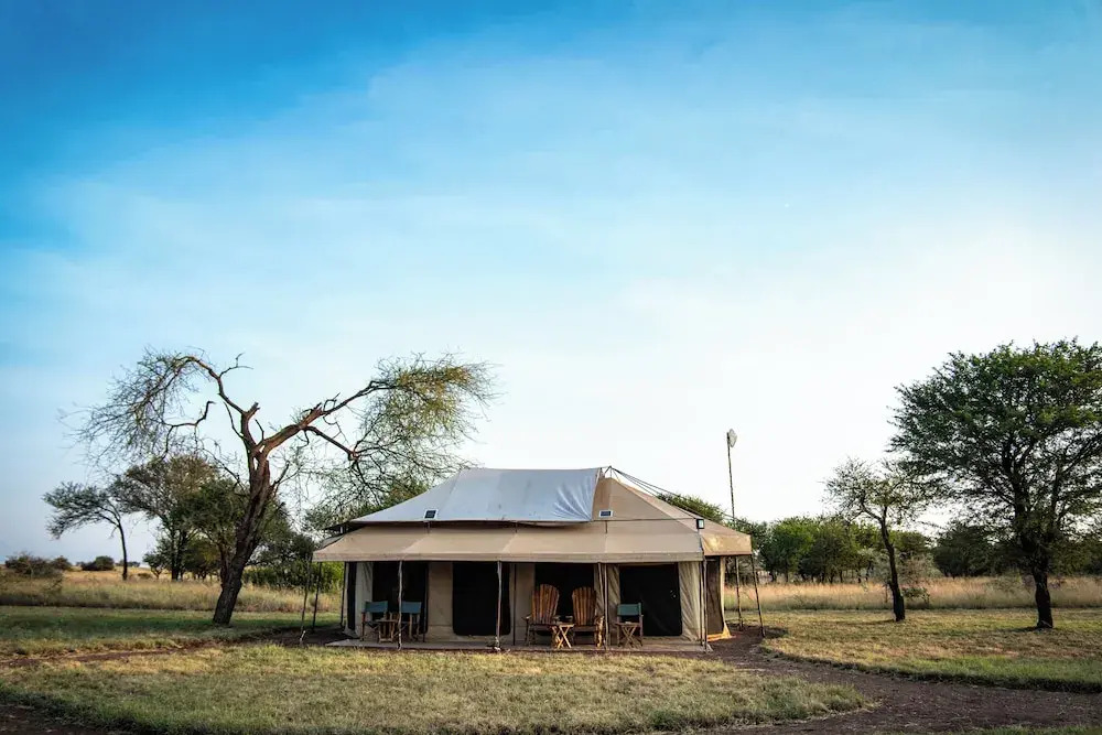Maisha Serengeti Camps