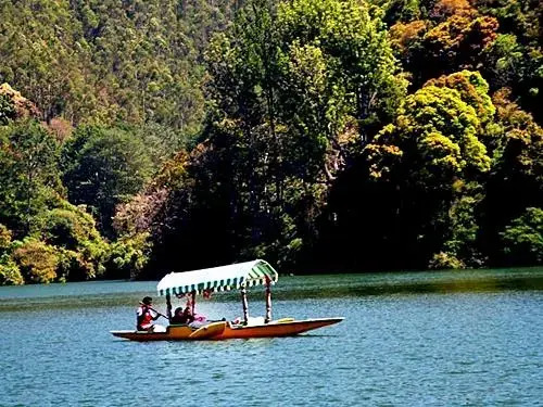 Munnar Dreams Home Stay