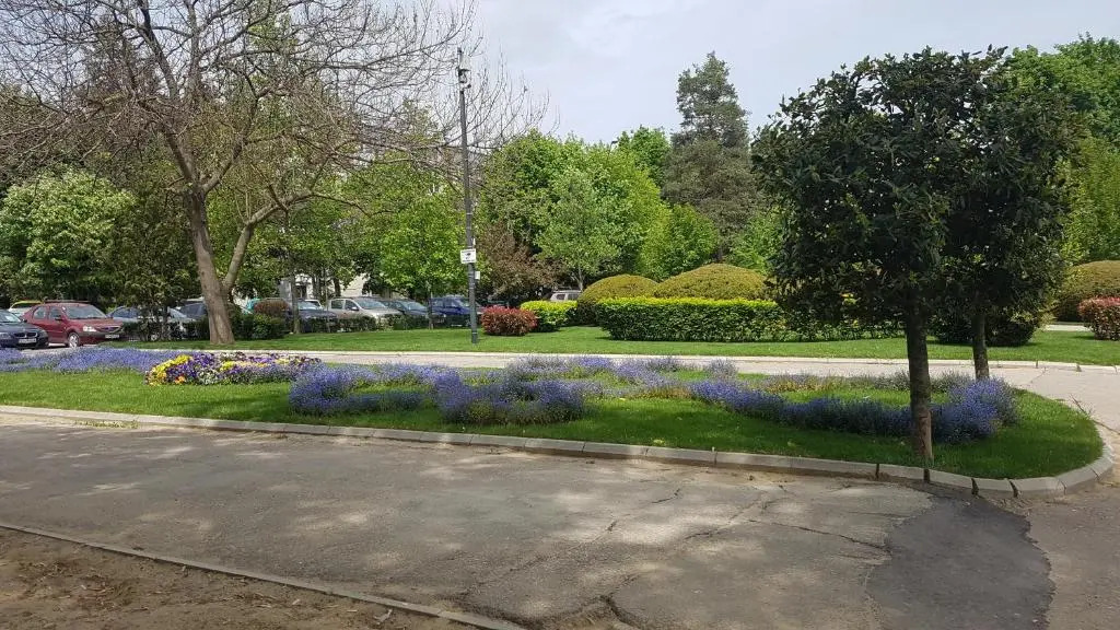 Lucky house