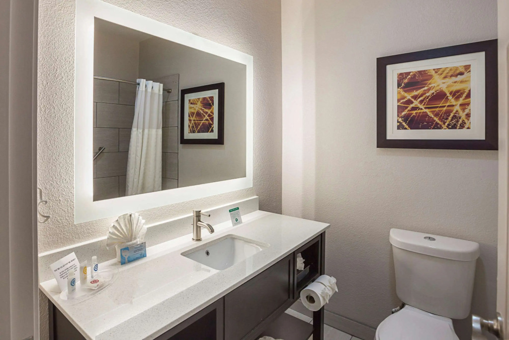 Comfort Suites Lewisville - Dallas