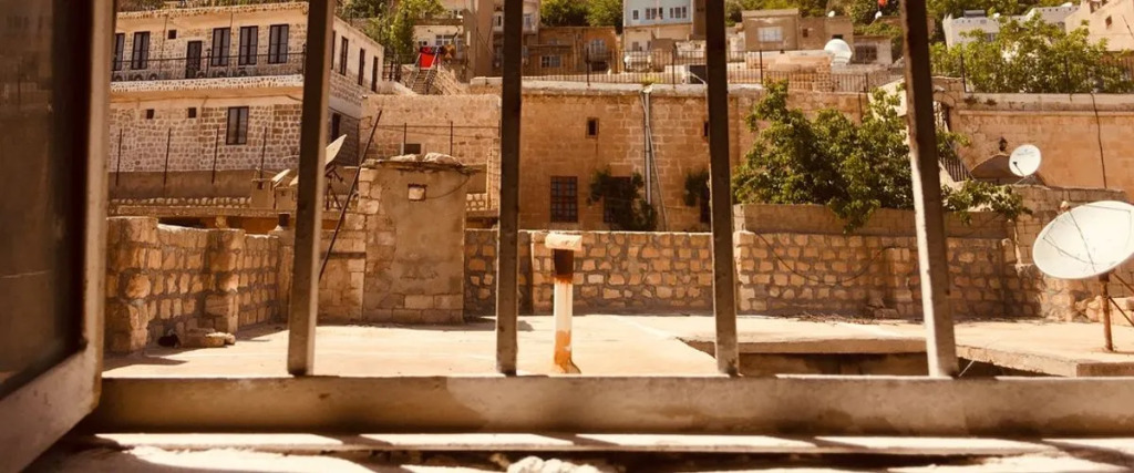 Rosa Hostel