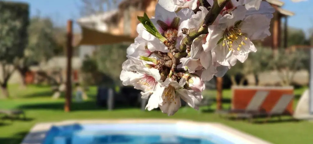 Casita de Madera