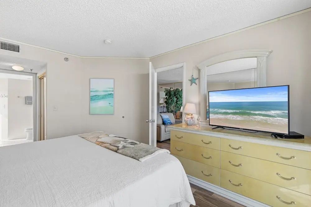 Sand Dollar 1105