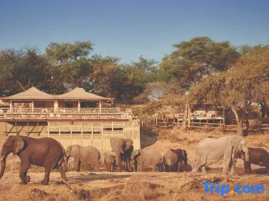 Savute Elephant Lodge