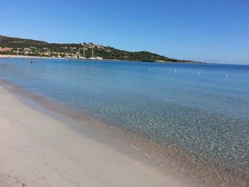 I Corbezzoli