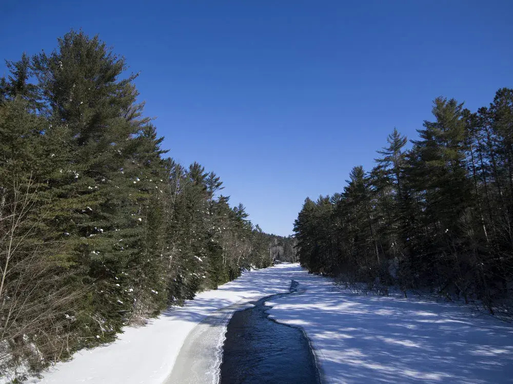 The Canadian Ecology Centre