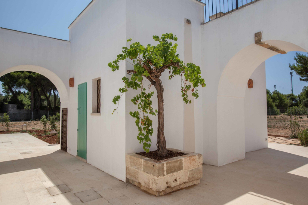 Masseria del Salento Santa Marina