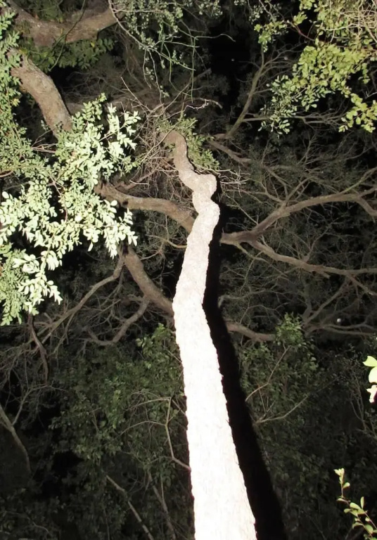 Two Bedroomed Bush-tent on the Klaserie River, With Free Lion Hyena Sounds
