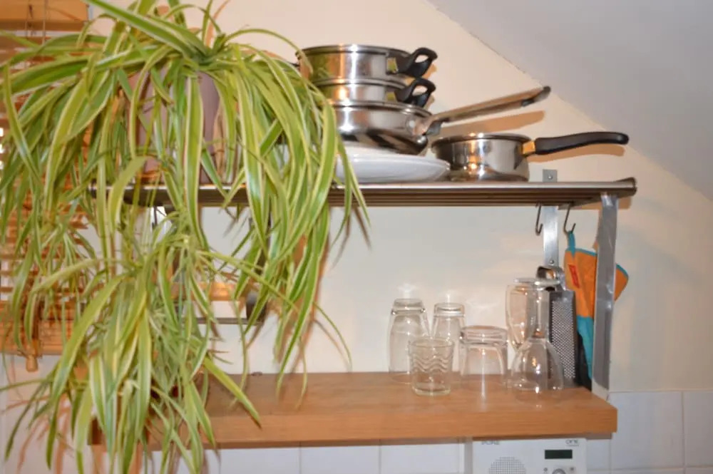 Cosy 1 Bedroom Flat on Gloucester Road North