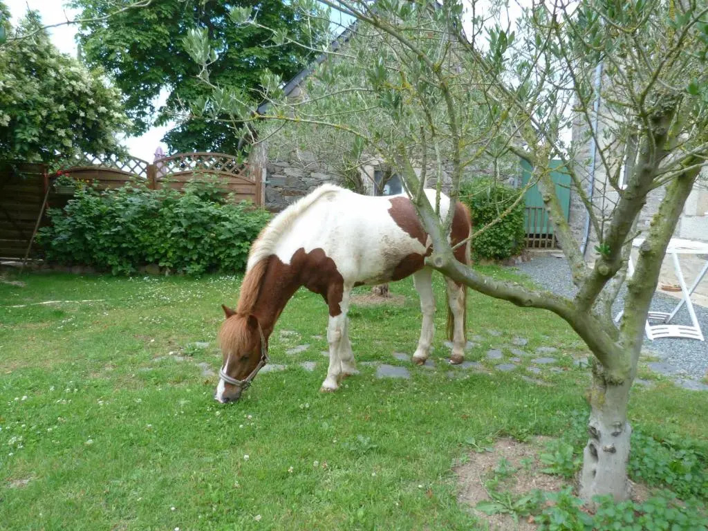 Gîte Losten Ar Goguès