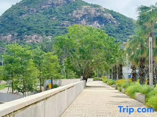 Shenzhen Dongshan Haigang Homestay