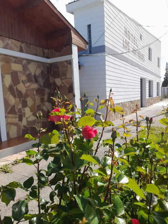 Hotel Los Antiguos