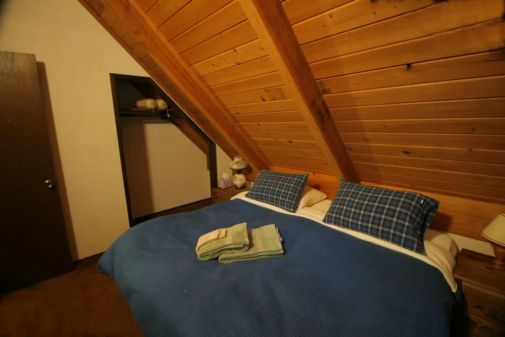 Snowline Cabin 35 - A pet-friendly country cabin, Now has air conditioning