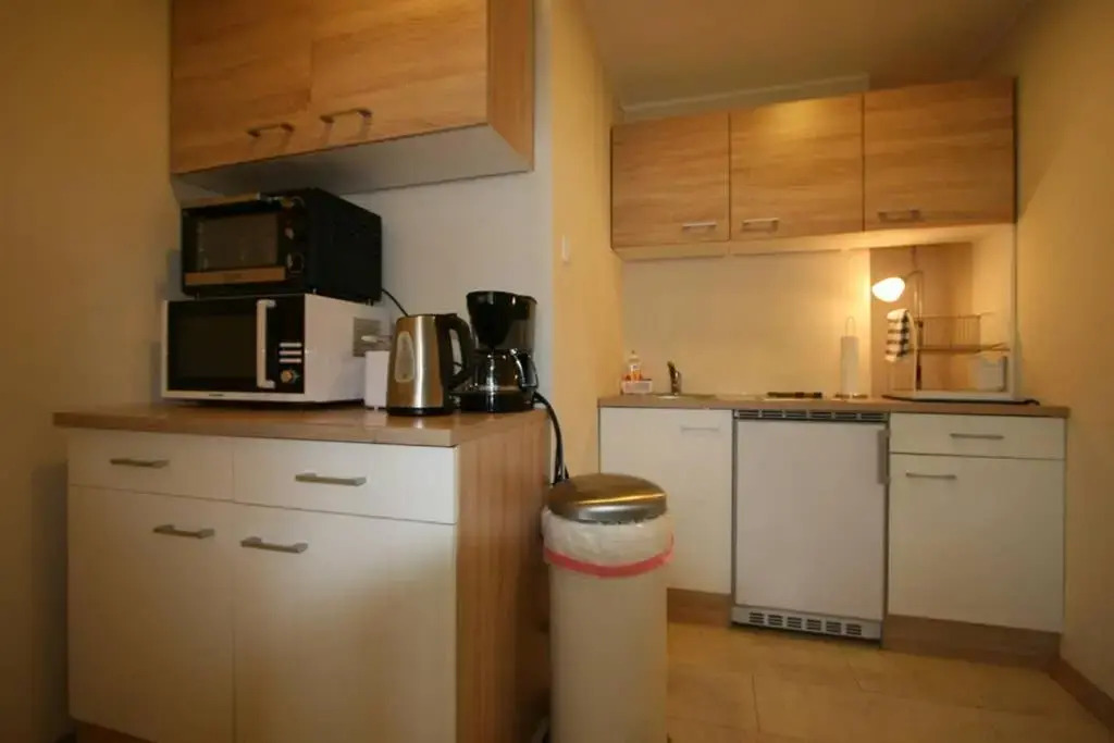 Vienna City Loft Apartment
