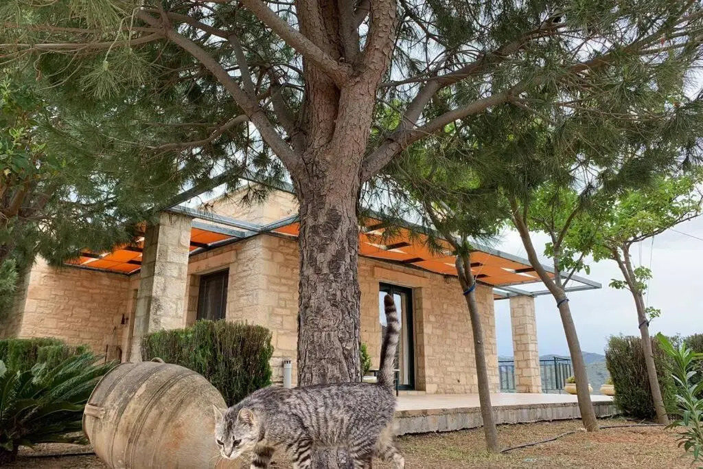Frati Stone House